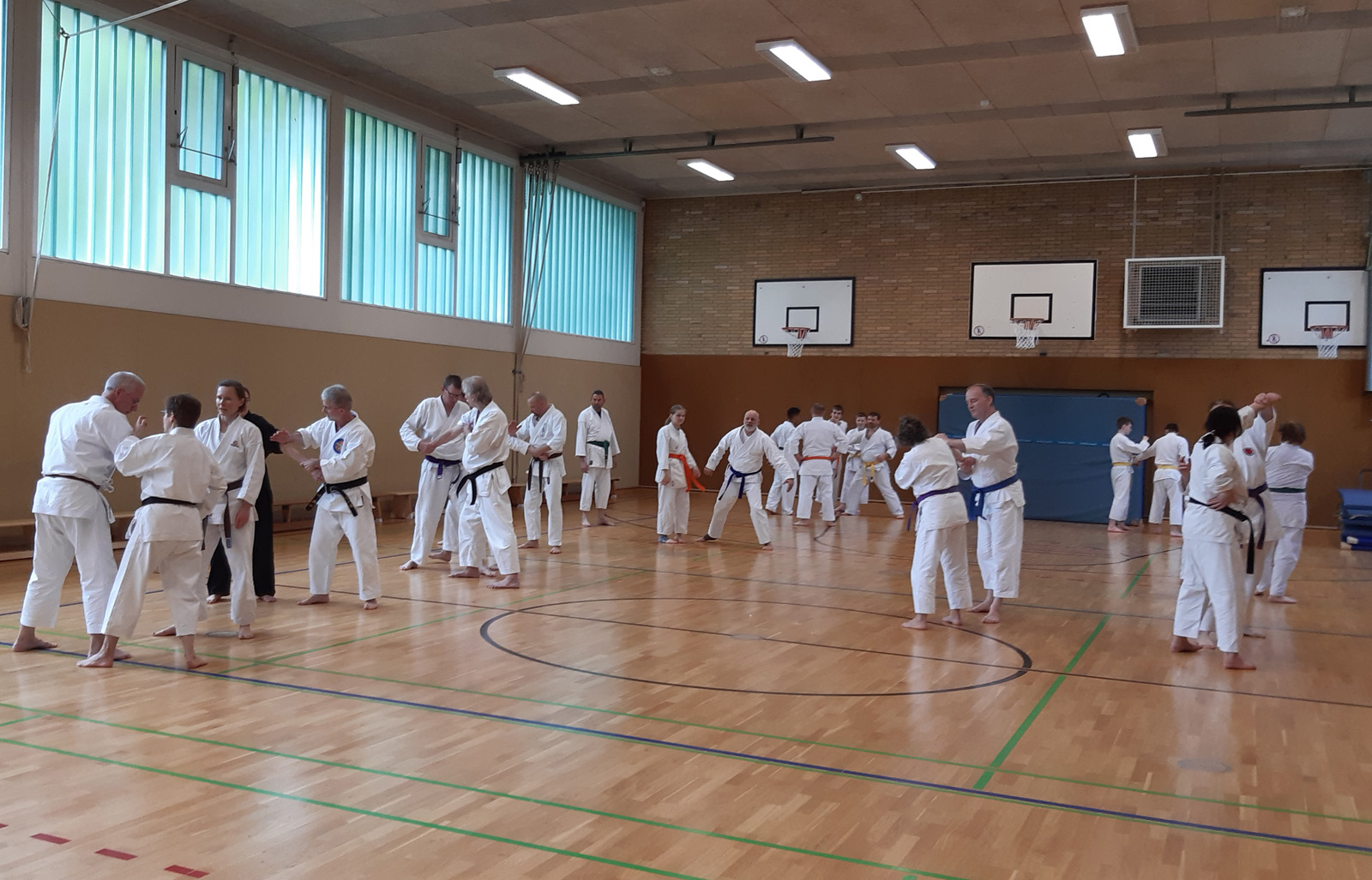 Karate Seminar